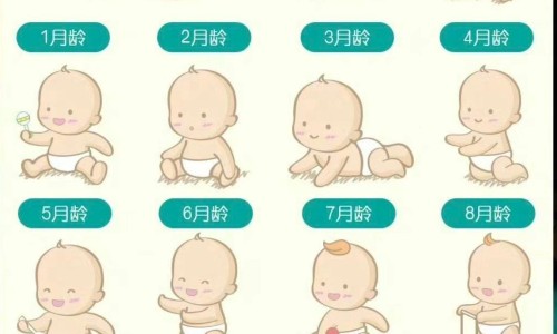 婴儿棉内衣的优缺点-权威婴儿内衣纯棉平台,分享专业彩仙儿文胸婴儿棉知识_彩棉婴儿内衣网