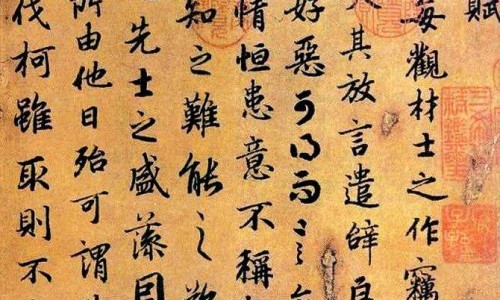 什么叫婴儿棉文胸-权威婴儿内衣纯棉平台,分享专业彩仙儿文胸婴儿棉知识_彩棉婴儿内衣网